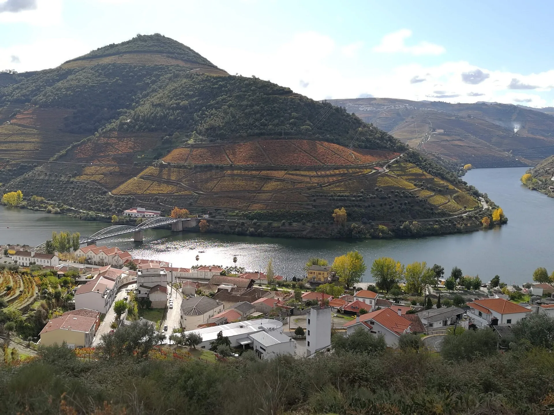 Pinhão